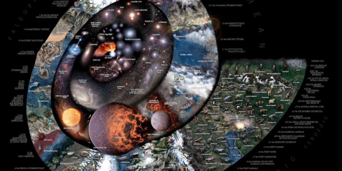 Proposition d’une “Loi Manquante” Décrivant un Mécanisme Universel de Sélection Pour L’Augmentation de la Fonctionnalité dans les Systèmes évolutifs.