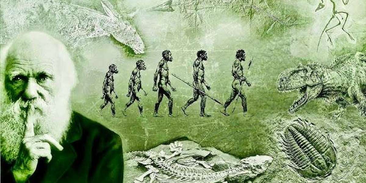 Natiomètrie : Des lois biologiques aux lois civilisationnelles : vers une science universelle de l’évolution systémique.
