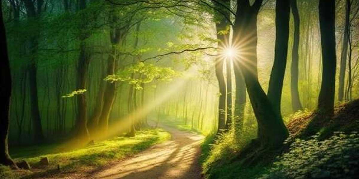 White Paper : La Natiométrie comme Thérapie Universelle pour l’Humanité.