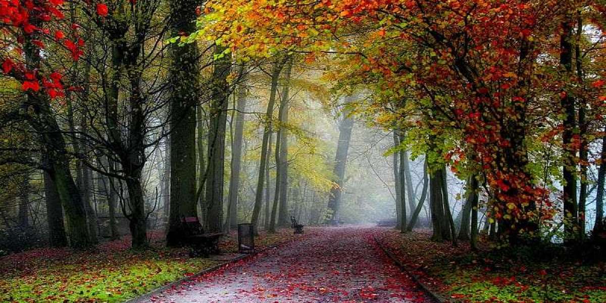 La Natiométrie comme Thérapie Universelle pour l’Humanité Implications, réflexions et perspectives.