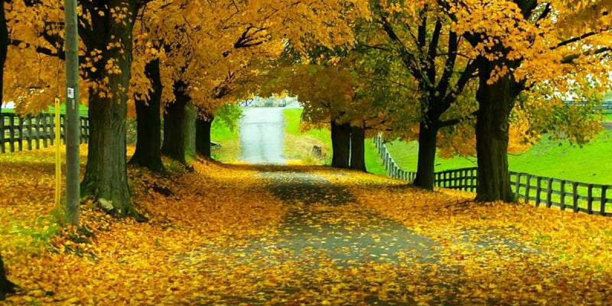 La Natiométrie comme Thérapie Universelle pour l’Humanité. Implications, réflexions théoriques et perspectives.