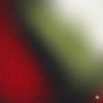 hamza chetoui Profile Picture